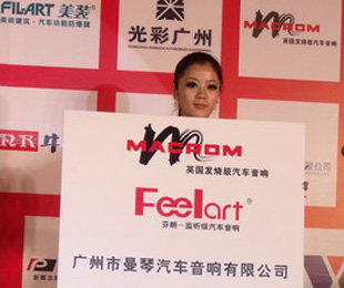 FEELART()̣޹˾