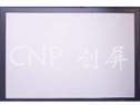 CNP()Ʒ:ӲĻ--BƽĻ