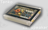 TENKO()ع:D80.4