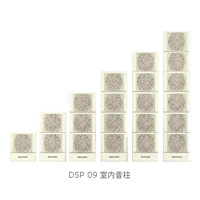 DSPPA(ʿ):DSP09ϵ