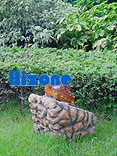 HIZONE()㲥:Z-2011SPLC