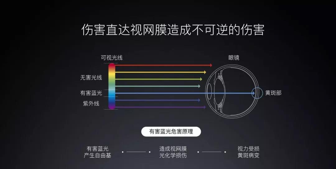 2.jpg 2.jpg