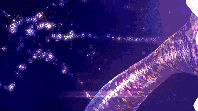 ��?.gif ��?.gif