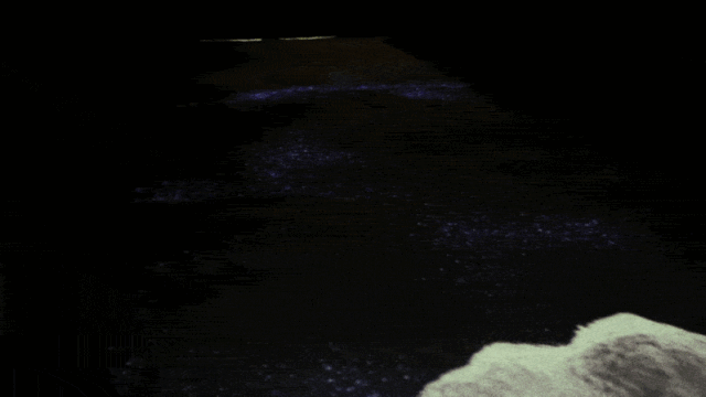 j05.gif j05.gif