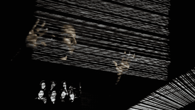 微信图片_20190516095120.gif